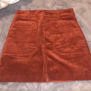 Zara Corduroy Skirt